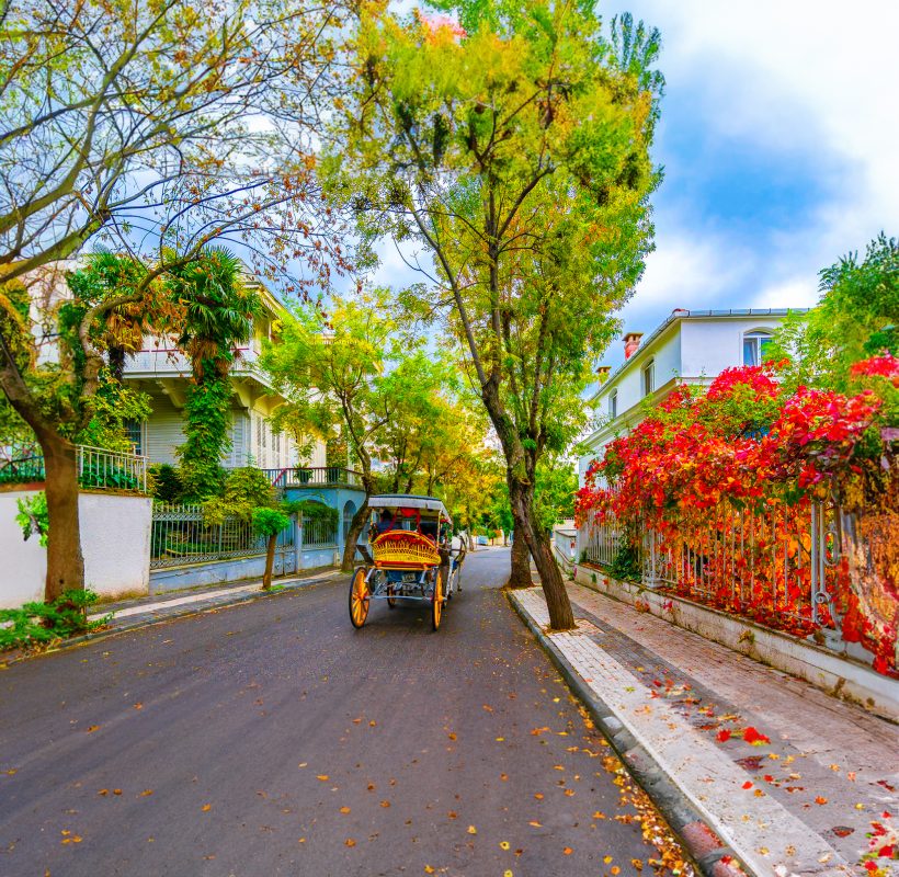 Büyükada AE 19